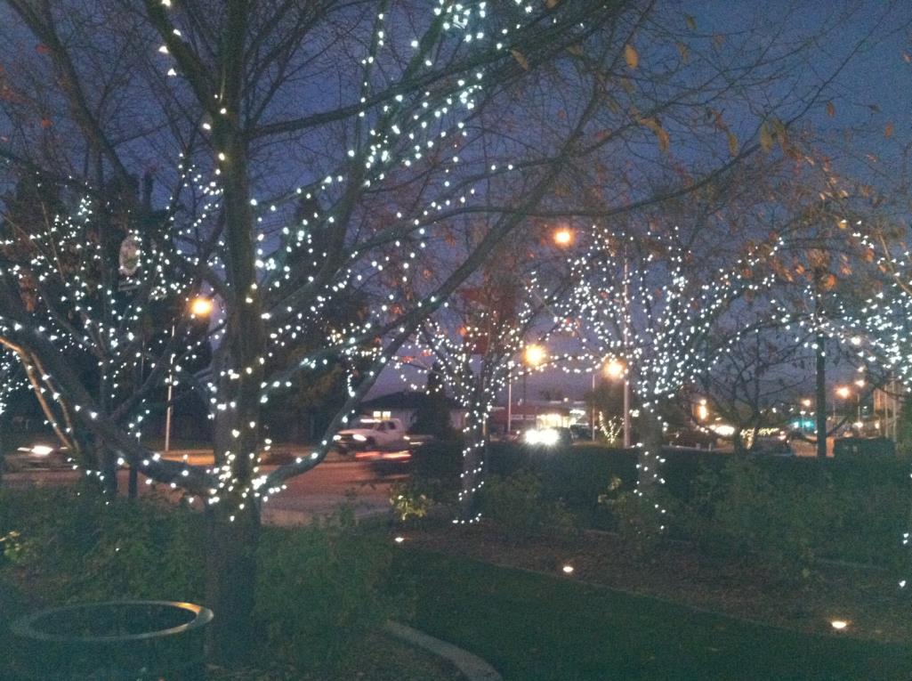 Geof Goodfellow Pk Lights