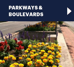 parkways & boulevards