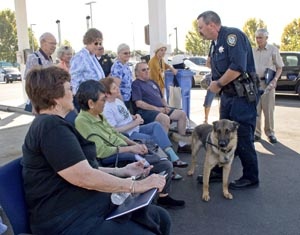 Senior CPA canine