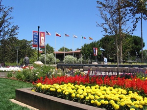 City Hall in the spring