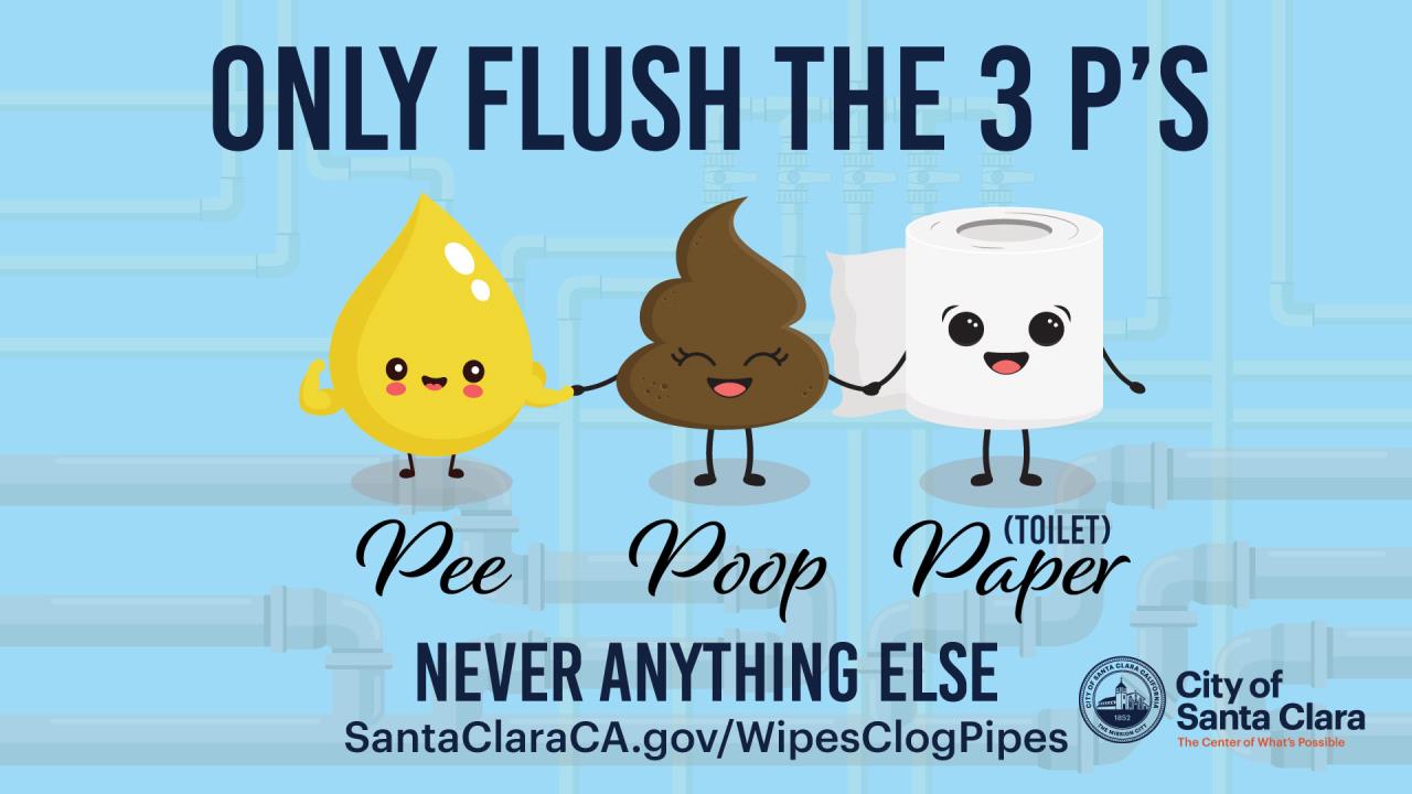 Icon: flush only 3 Ps: pee, poop and paper