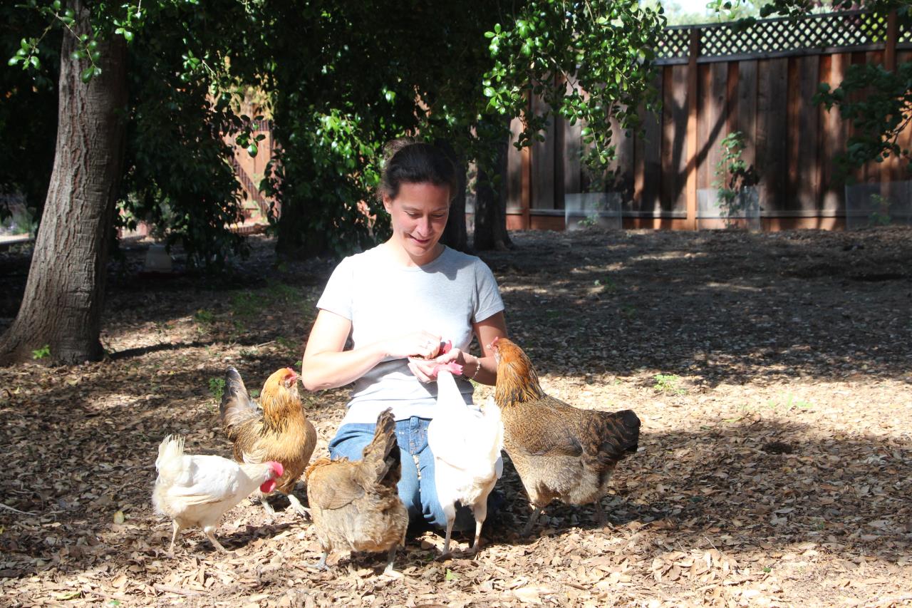 Isabelle with her backyard chickens