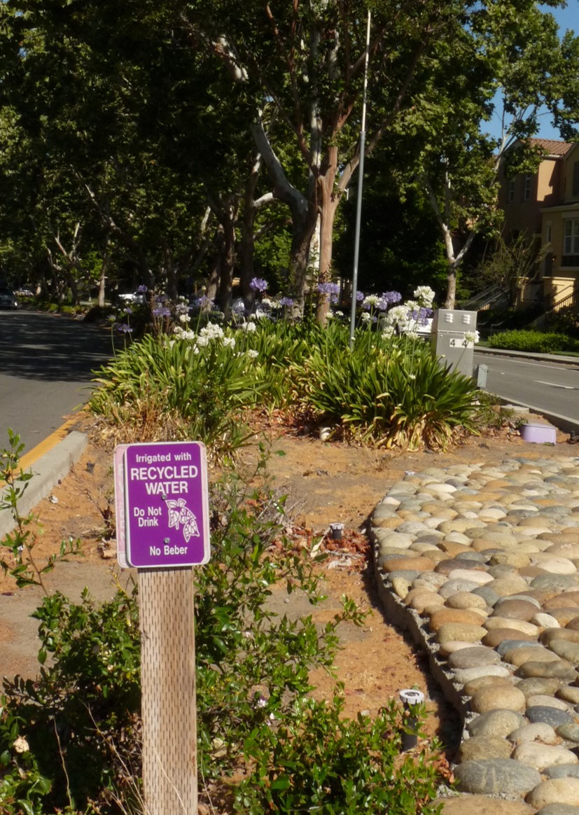 Median sign explaining recycled water used for landscaping