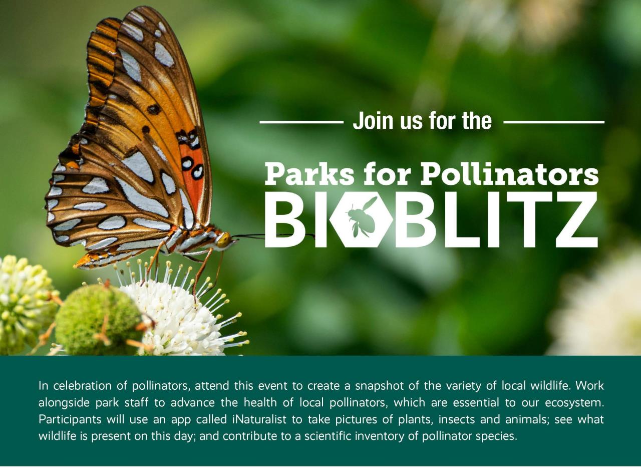 BANNER bioblitz 2022