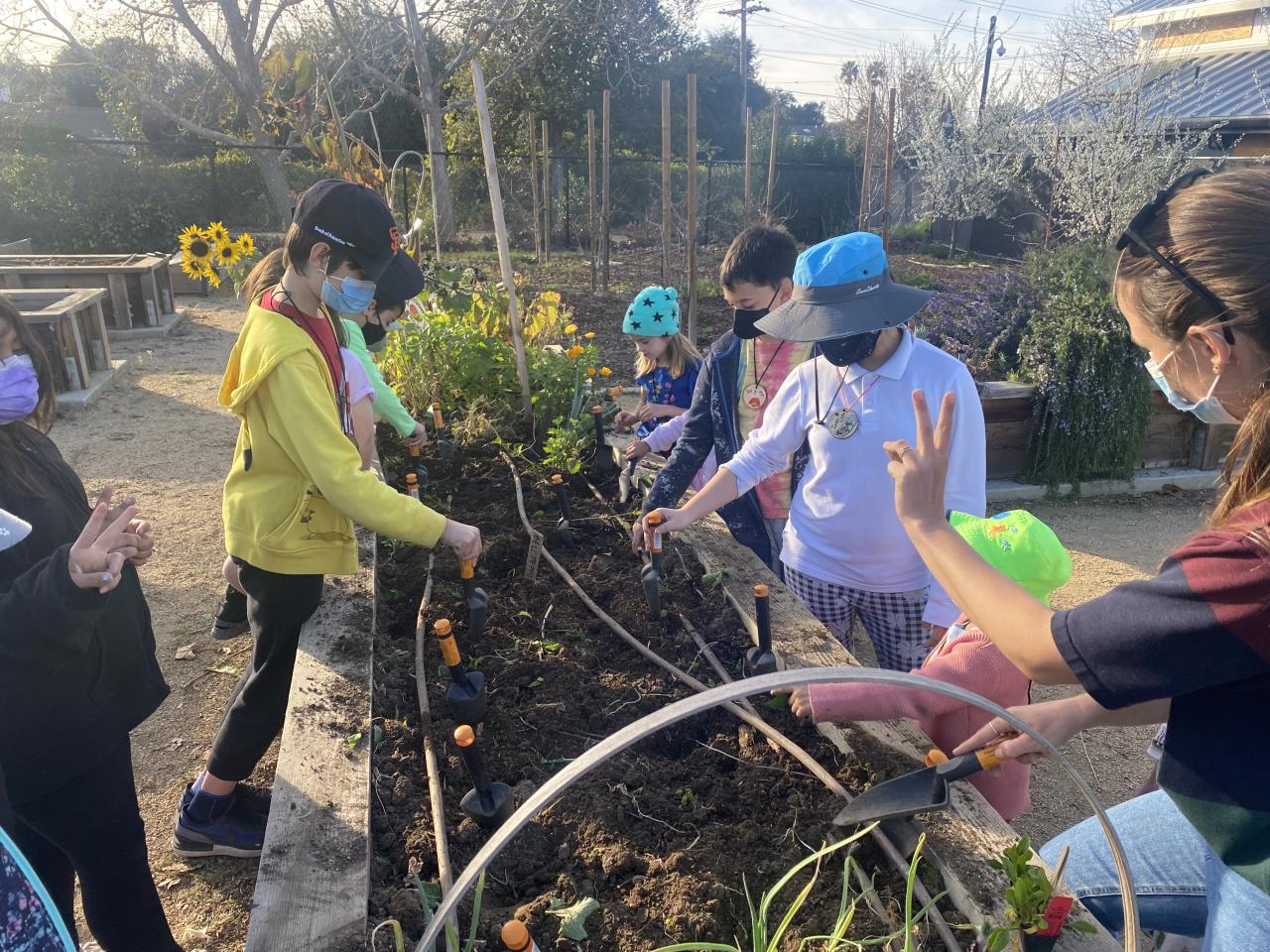 Growing Gardeners in action