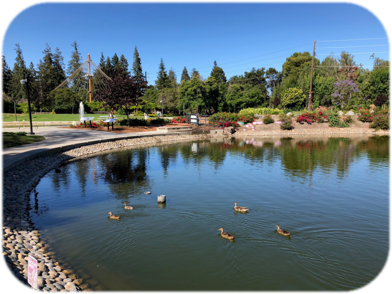 Central Park Pond featuring recycled water