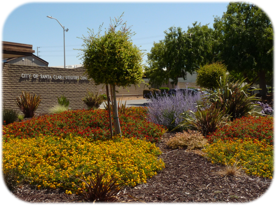 Utilities Center water-wise landscaping