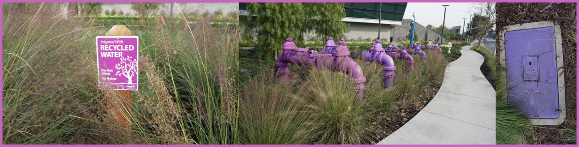 Recycled water infrastructure and signage