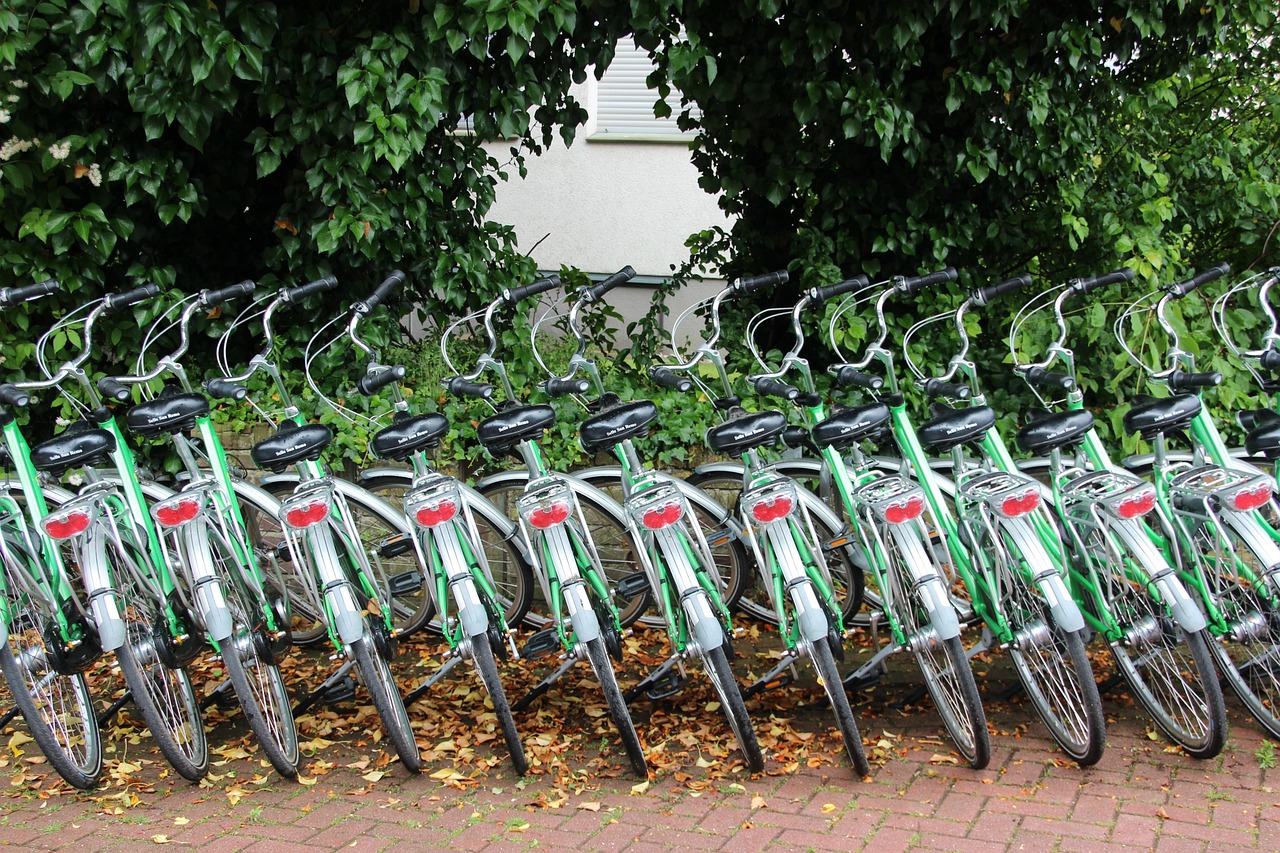 Bike rental-2